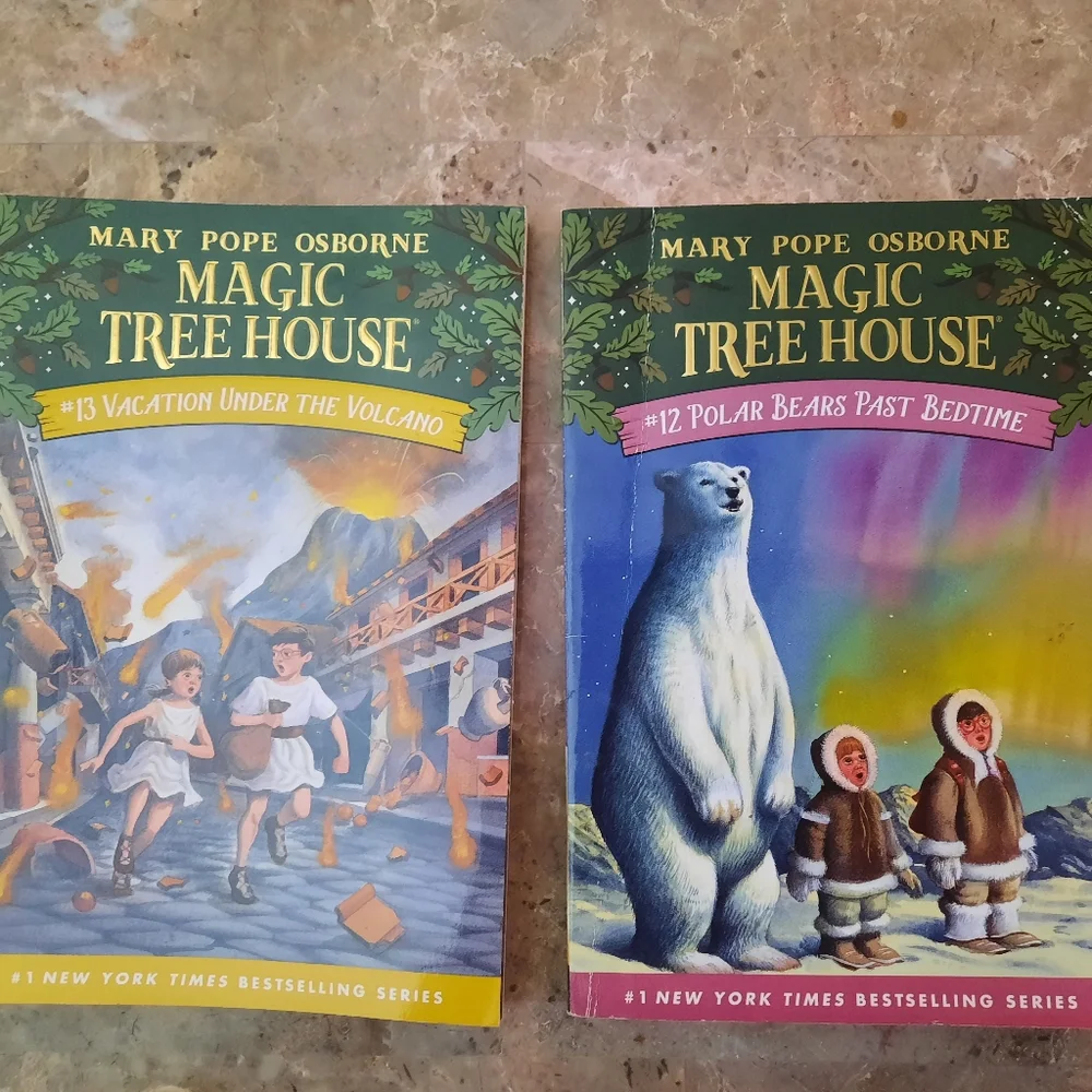 Magic Tree House book bundle - Picture 1 of 1